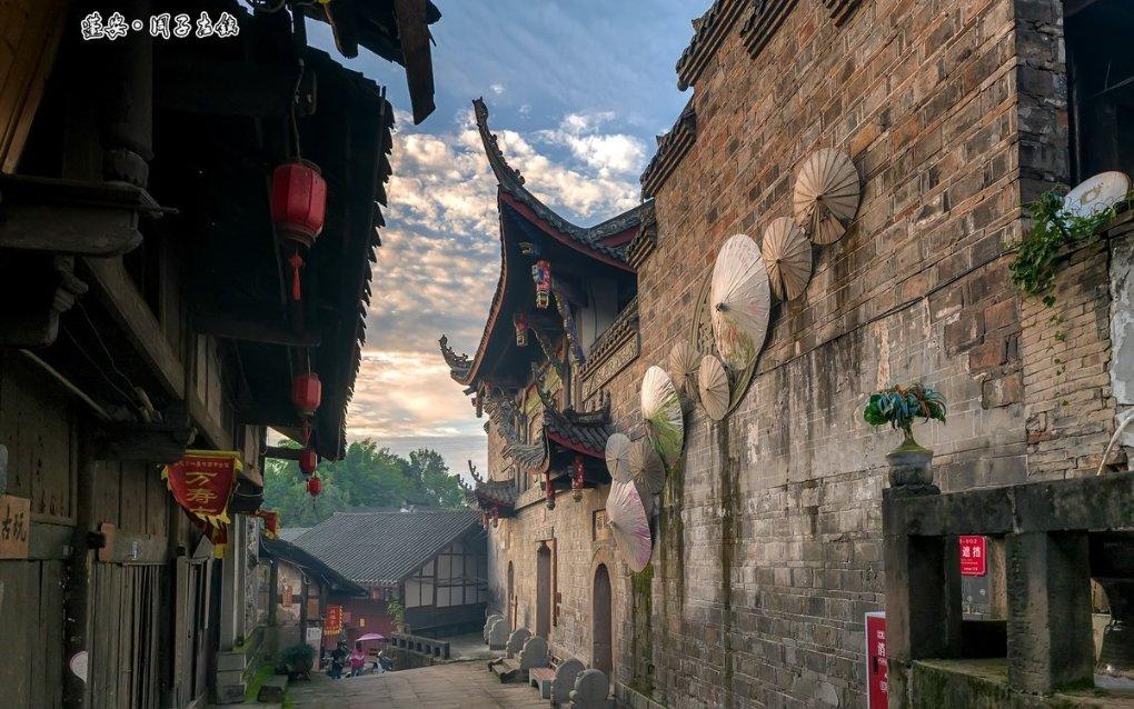 春雨直播app